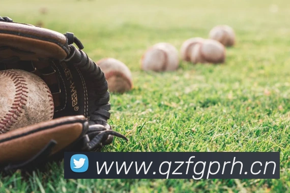 hth网址平台生态图